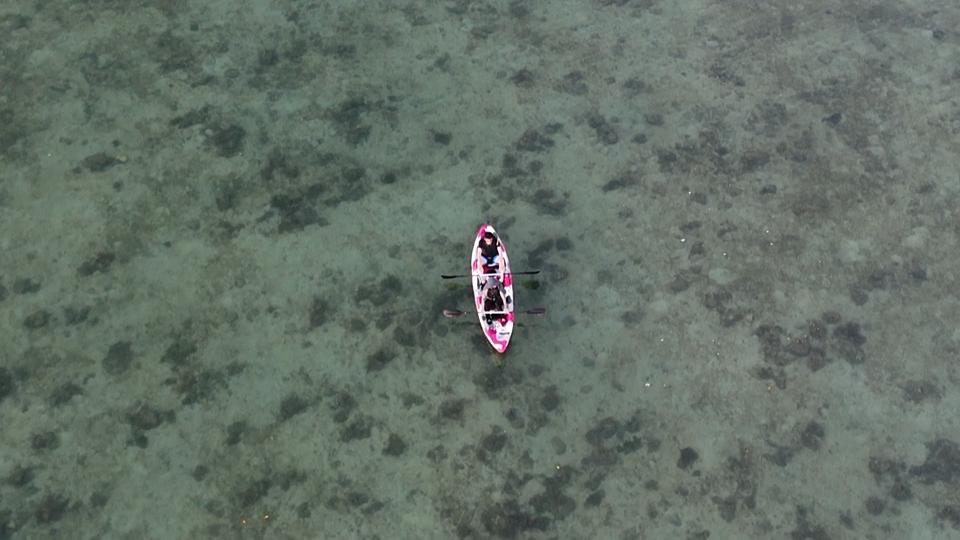 dji_fly_20250630_193411_0_1751279651836_photo_low_quality.jpeg