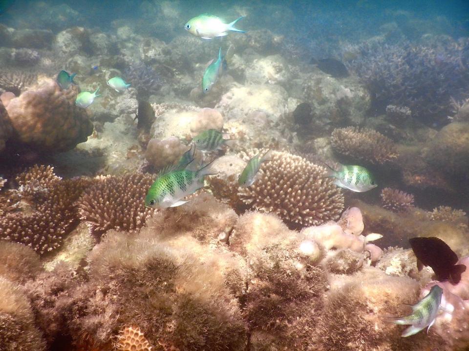 S__29147180_0.jpg