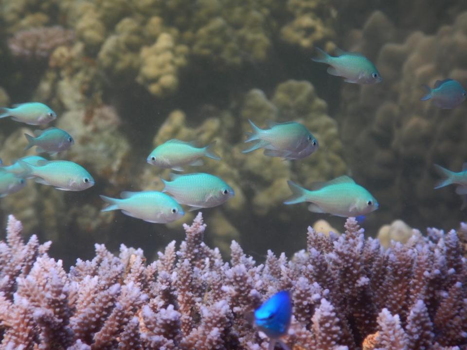CA715134-126C-4477-8F9D-8F07C1F064AD.jpeg