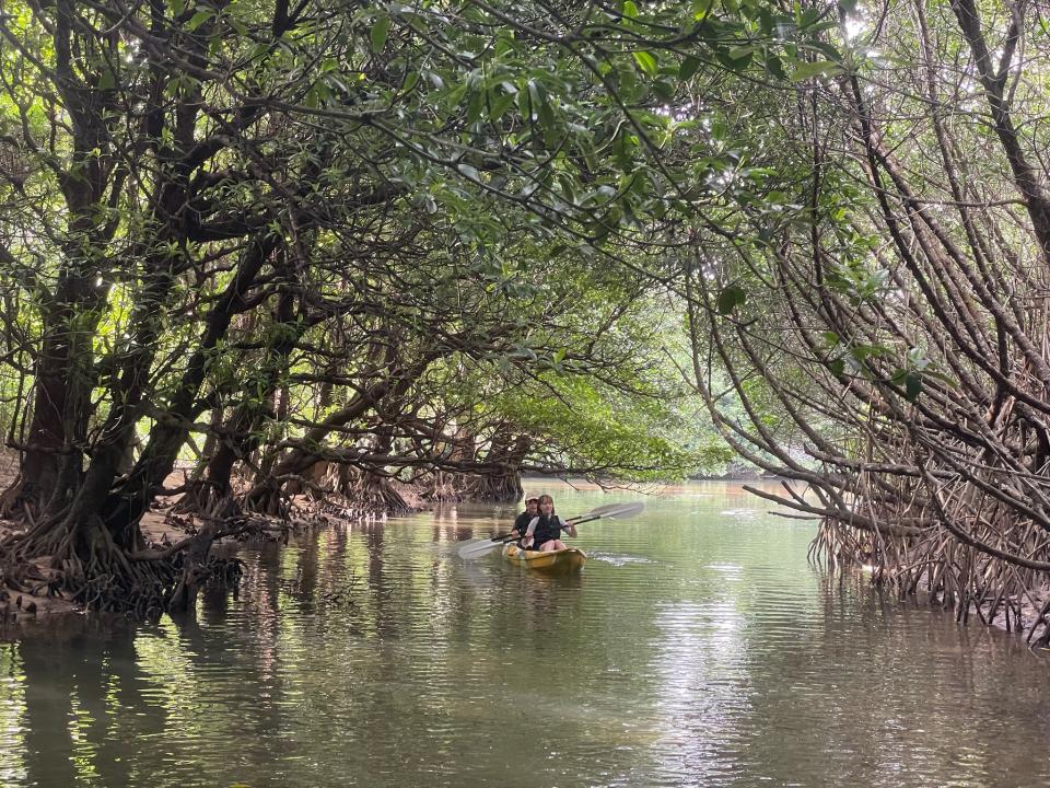 石垣島アクティビティ｜カヤック・SUP｜子連れ可なら「石垣島アクティビティズ」