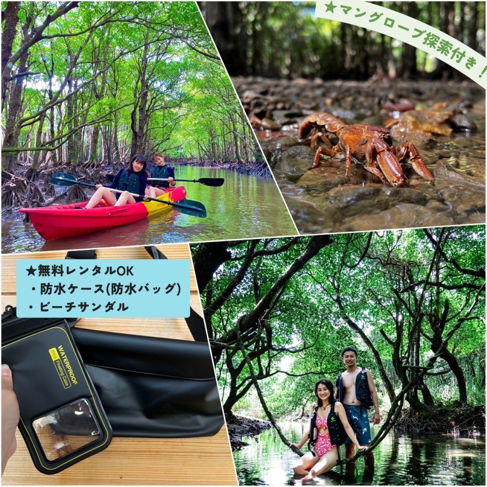 石垣島アクティビティ｜カヤック・SUP｜子連れ可なら「石垣島アクティビティズ」