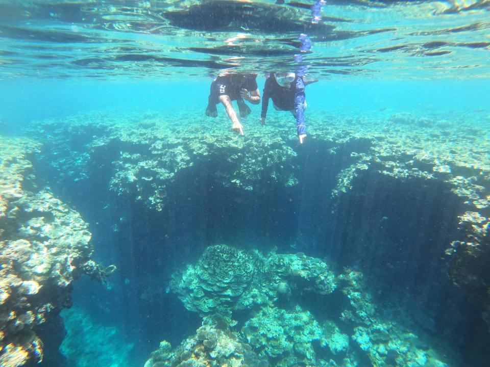 GPTempDownload 6.jpeg