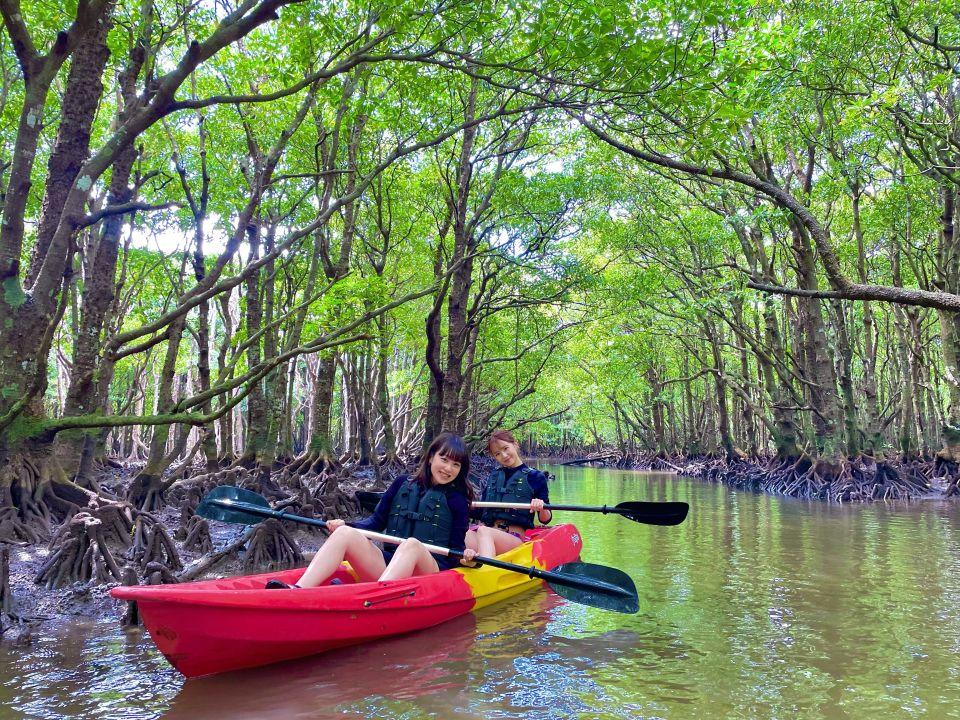 石垣島アクティビティ｜カヤック・SUP｜子連れ可なら「石垣島アクティビティズ」