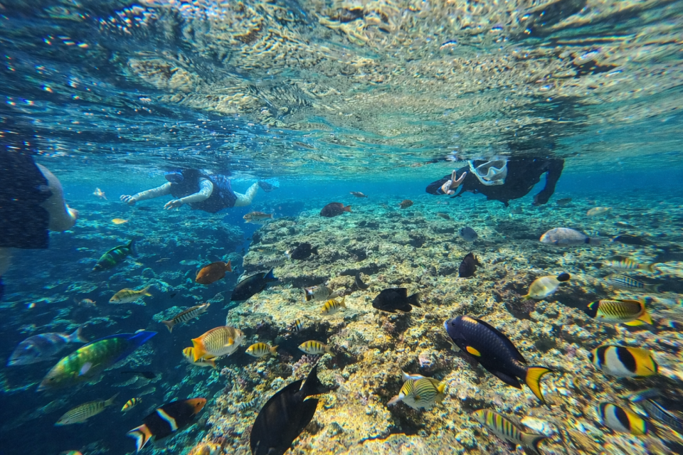 石垣島アクティビティ｜カヤック・SUP｜子連れ可なら「石垣島アクティビティズ」