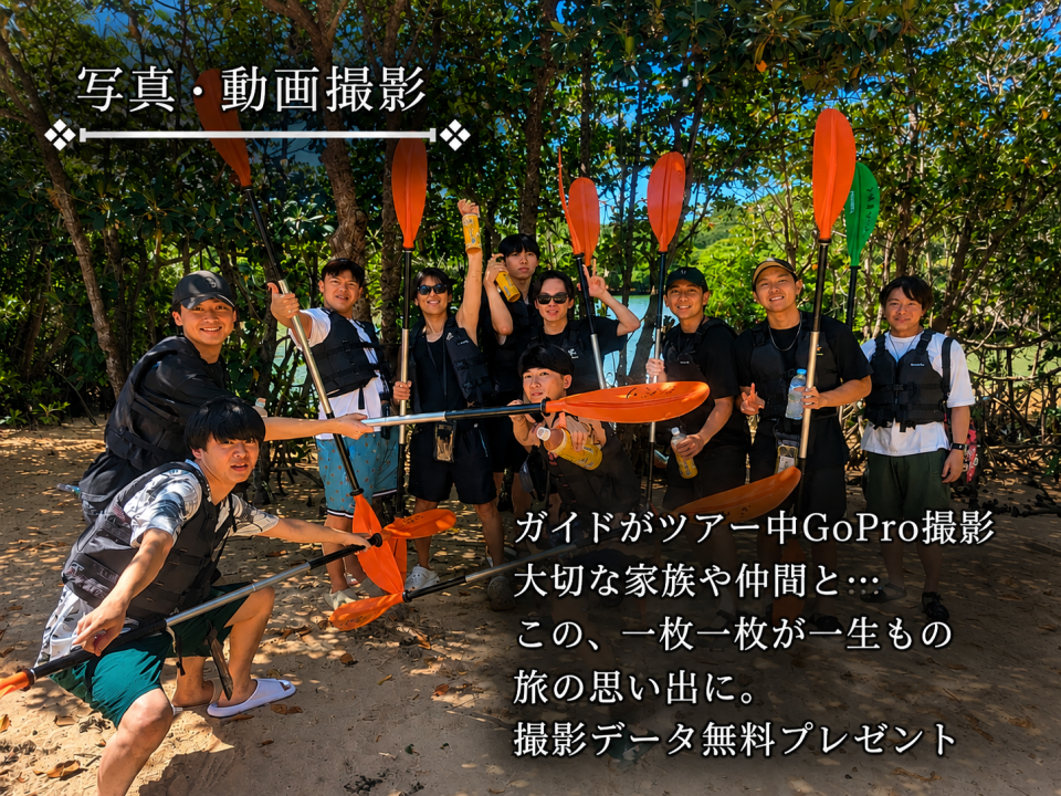 file_00000000c9a081fb9fab84ce481f29b0.png