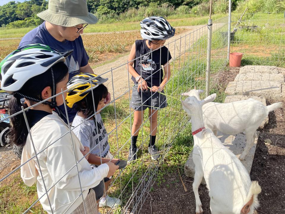 石垣島アクティビティ｜カヤック・SUP｜子連れ可なら「石垣島アクティビティズ」