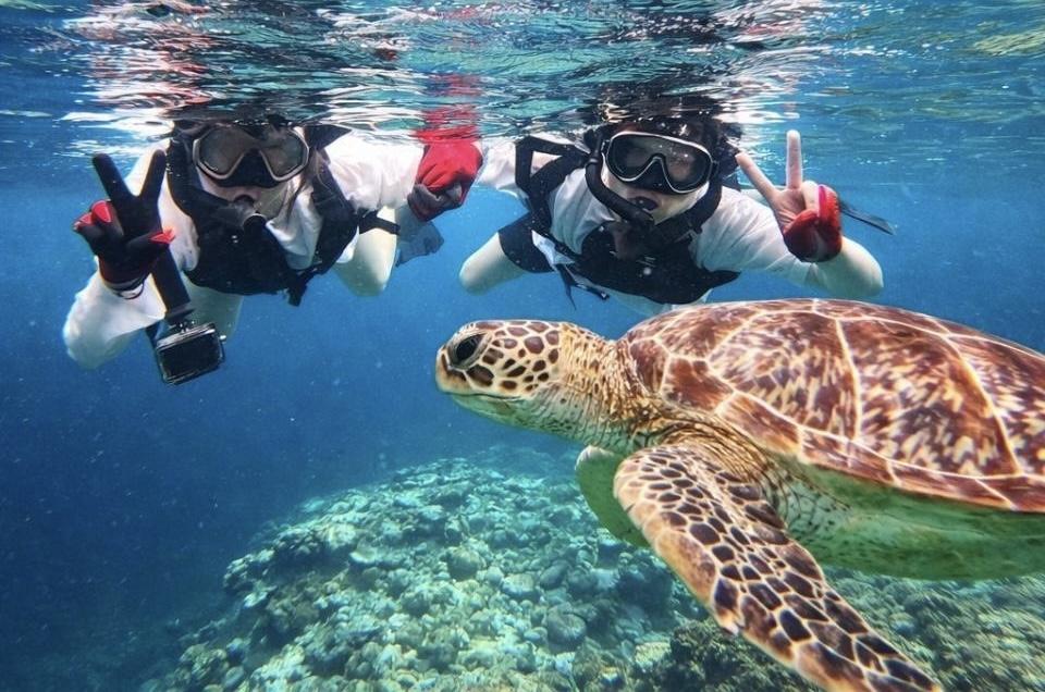 石垣島でシュノーケリング体験なら｜「石垣島アクティビティズ」
