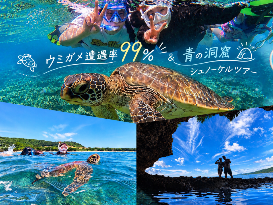 石垣島でシュノーケリング体験なら｜「石垣島アクティビティズ」