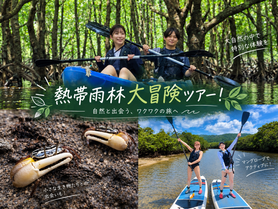 石垣島アクティビティ｜カヤック・SUP｜子連れ可なら「石垣島アクティビティズ」